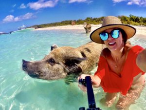 Bahamas, bucket list, adventure, tours, beach, paradise, swimming with the pigs, swimming pigs, Exuma, 