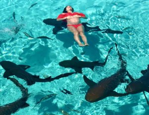 Bahamas, bucket list, adventure, tours, beach, paradise, swimming with the pigs, swimming pigs, Exuma, swimming with sharks, nurse sharks, shark dive, 