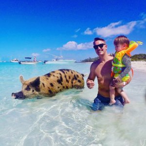 Bahamas, bucket list, adventure, tours, beach, paradise, swimming with the pigs, swimming pigs, Exuma, 